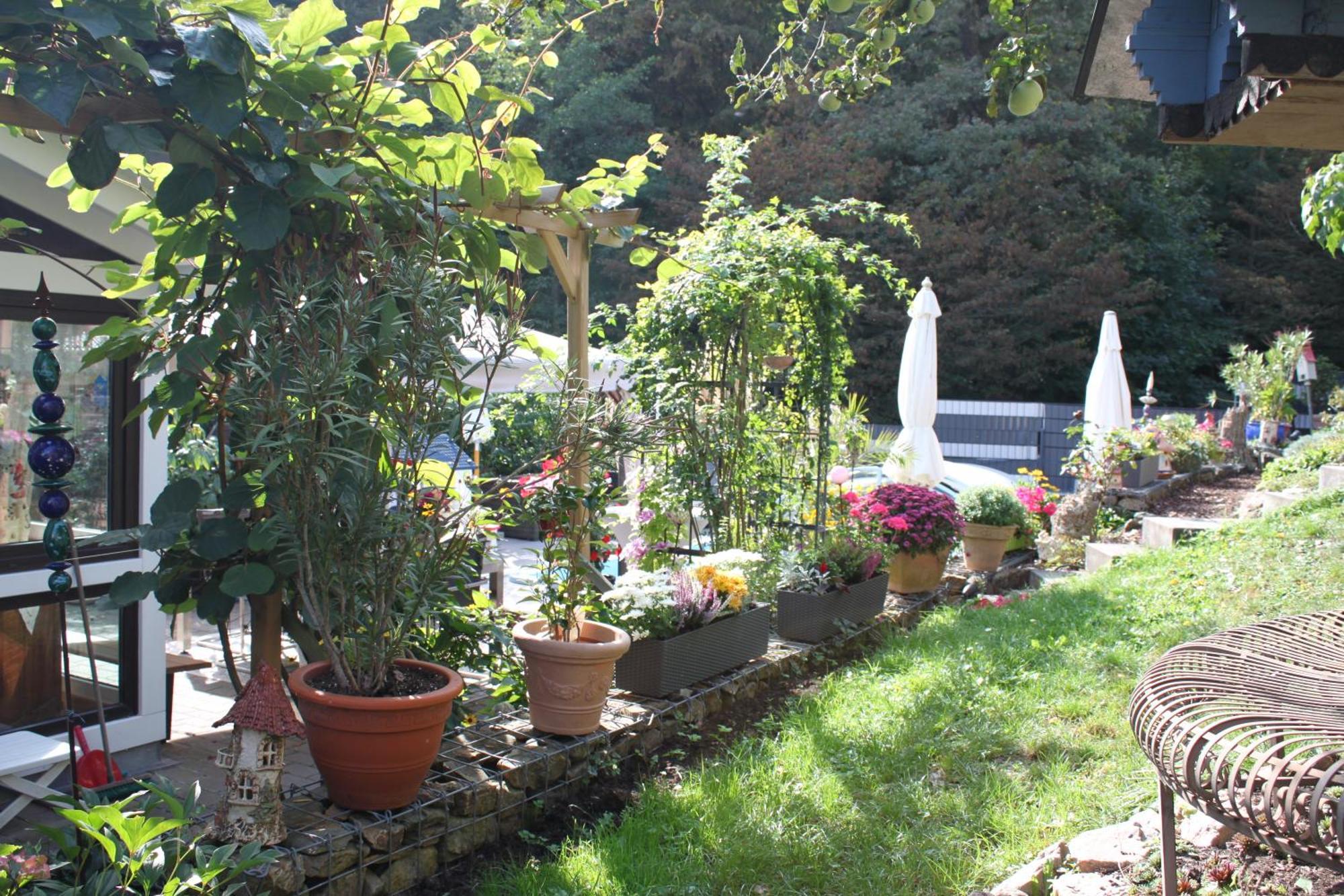 Ferienwohnung Im Morgenbachtal Trechtingshausen ภายนอก รูปภาพ