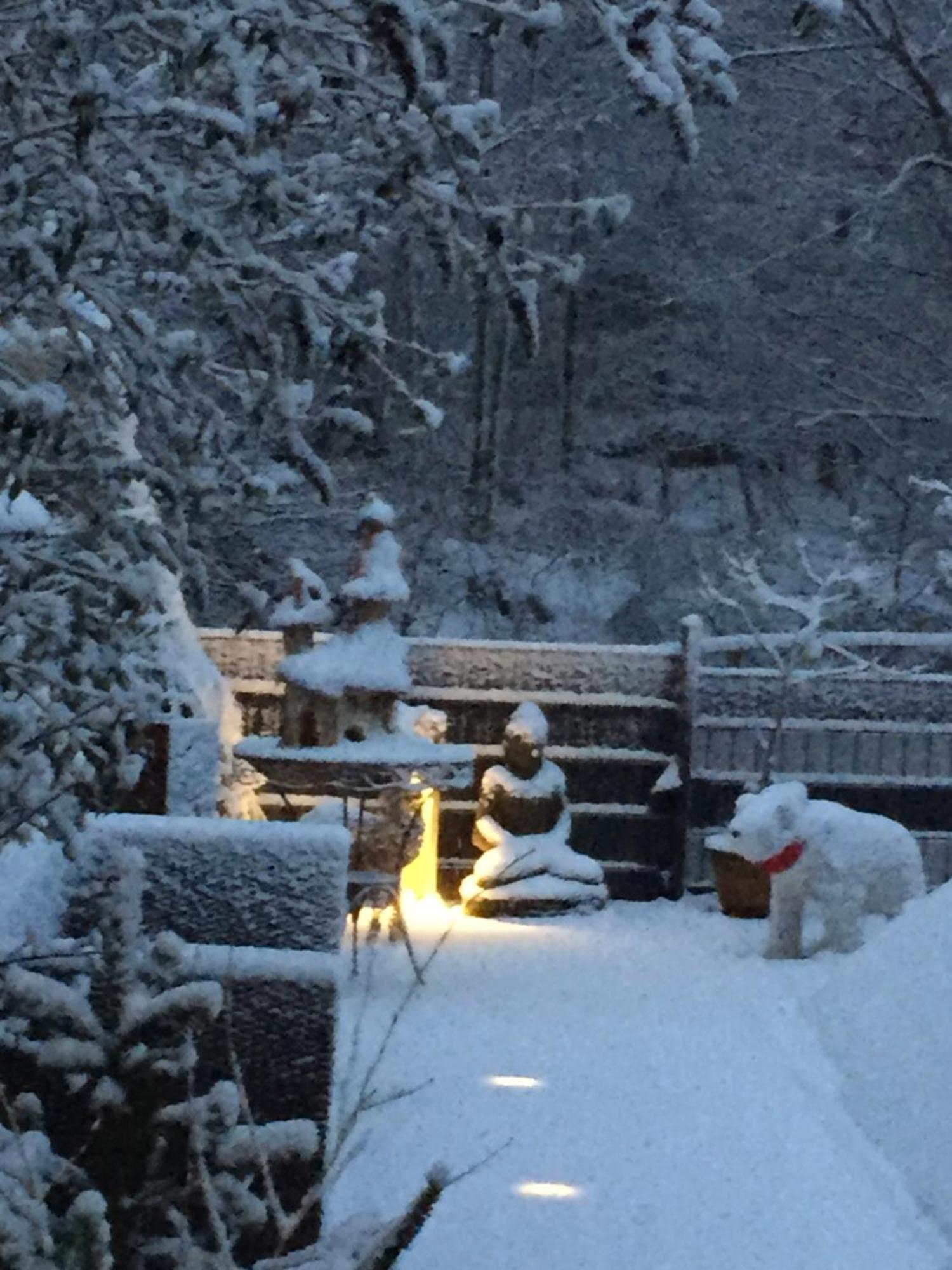 Ferienwohnung Im Morgenbachtal Trechtingshausen ภายนอก รูปภาพ