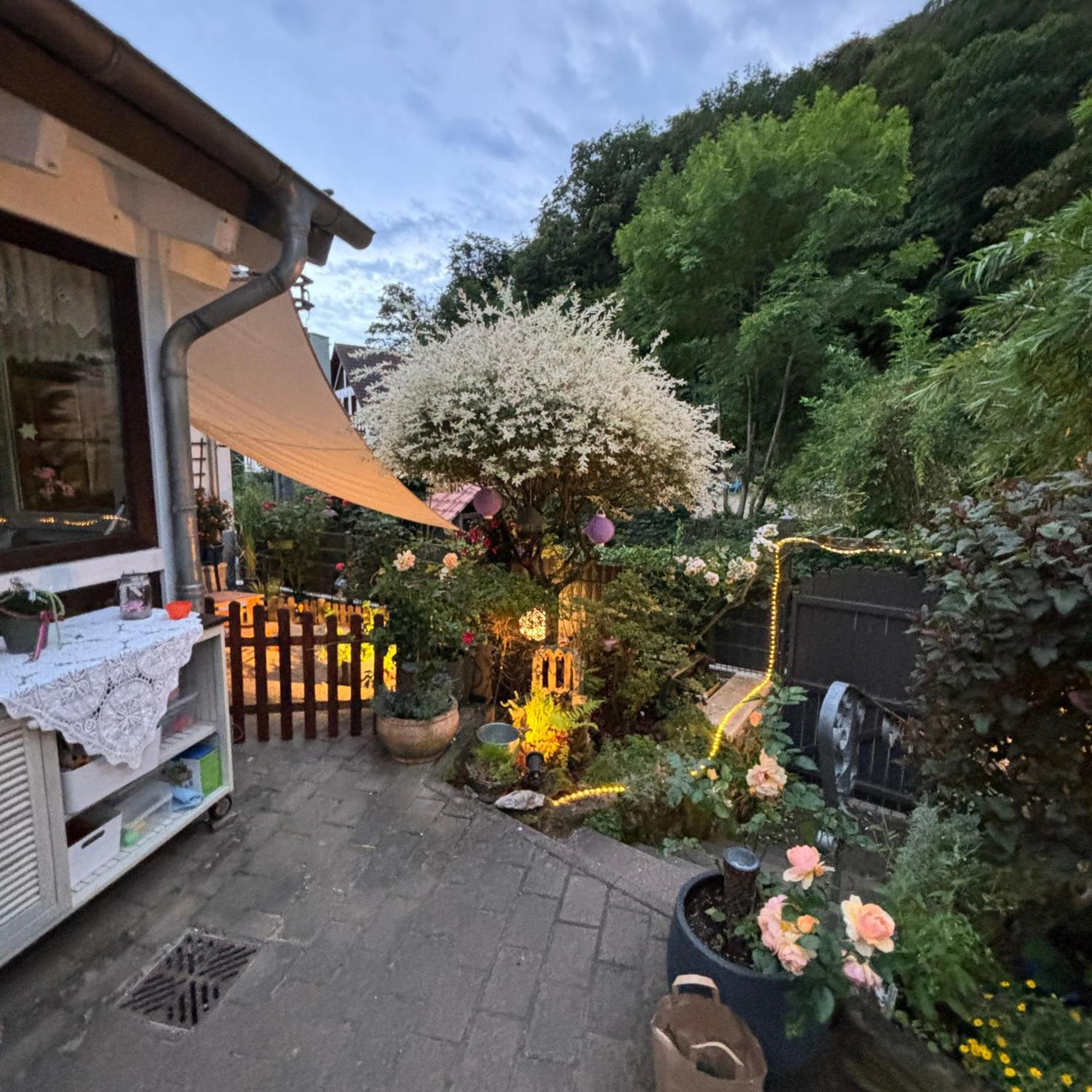 Ferienwohnung Im Morgenbachtal Trechtingshausen ภายนอก รูปภาพ