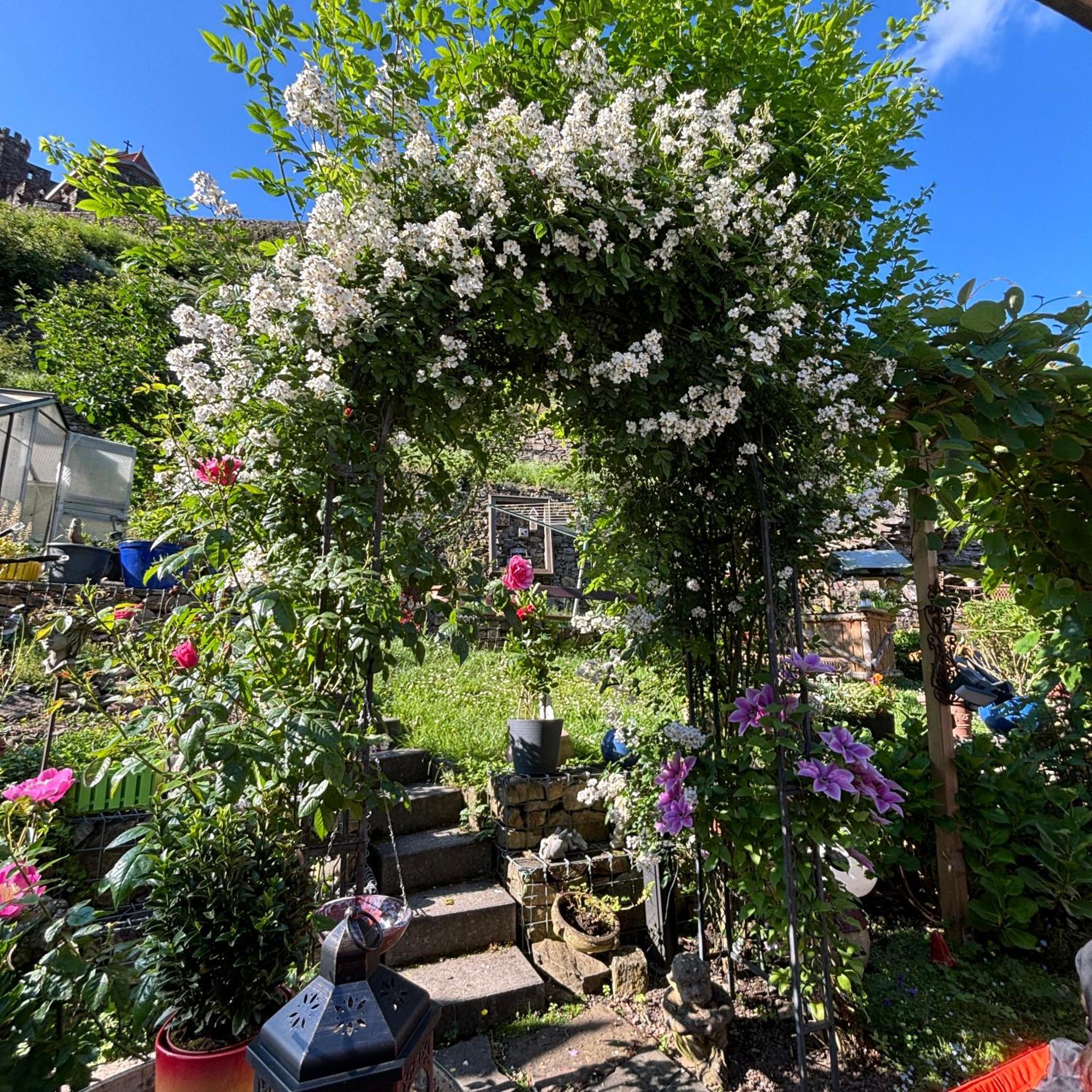 Ferienwohnung Im Morgenbachtal Trechtingshausen ภายนอก รูปภาพ