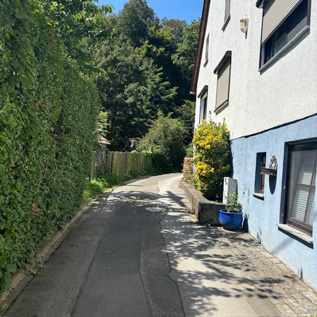 Ferienwohnung Im Morgenbachtal Trechtingshausen ภายนอก รูปภาพ