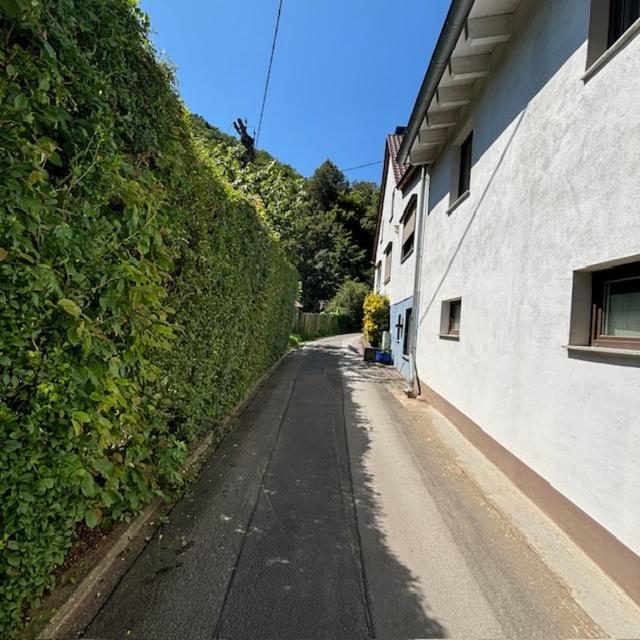 Ferienwohnung Im Morgenbachtal Trechtingshausen ภายนอก รูปภาพ